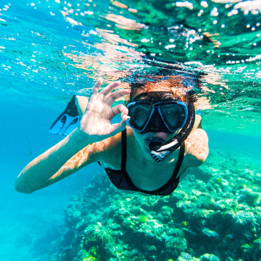 ¿Cuál es la diferencia entre el snorkel y buceo? ,¿Cuál es la diferencia entre el snorkel y buceo? ,