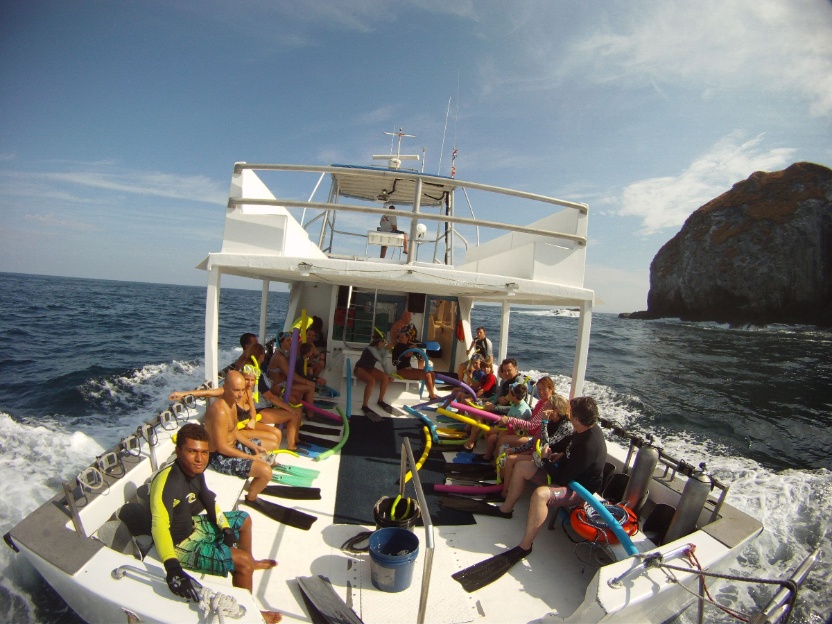 Islas Catalina Costa Rica | Mejores sitios de buceo y temporadas