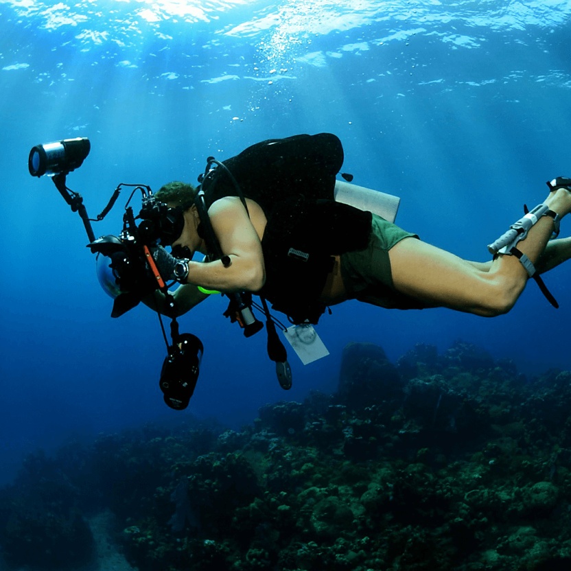 Las 10 mejores fotografías subacuáticas tomadas en 2021,Las 10 mejores fotografías subacuáticas tomadas en 2021