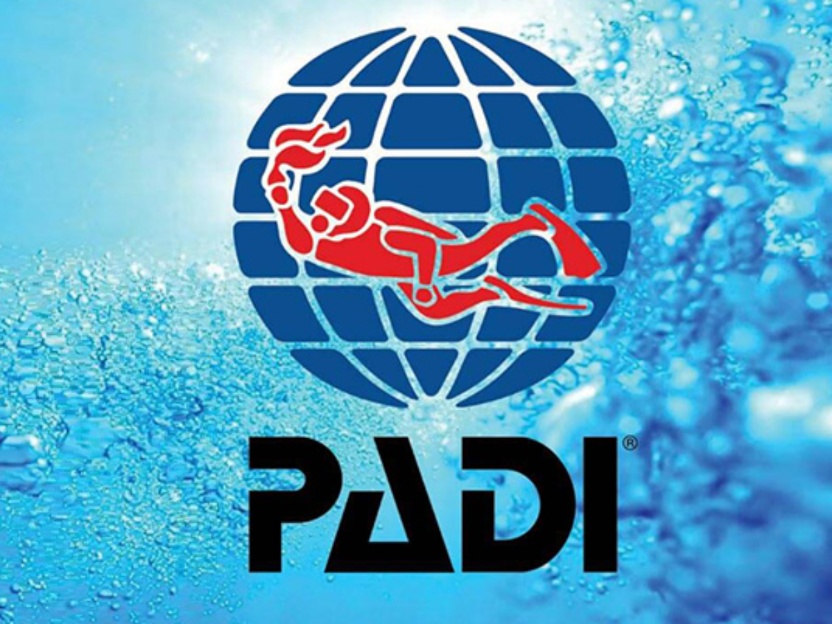NAUI logo - Buceo, Tours, cursos PADI y lecciones de Surf