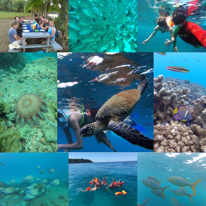 Tour de buceo en la Isla del Caño, el mejor buceo de Costa Rica